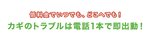 低料金でいつでも、どこへでも！